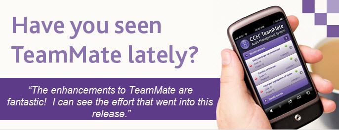 Have You Seen TeamMate Header